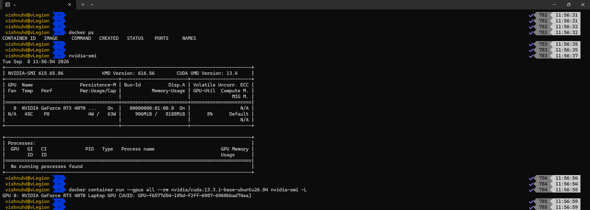 Docker container GPU passthrough test